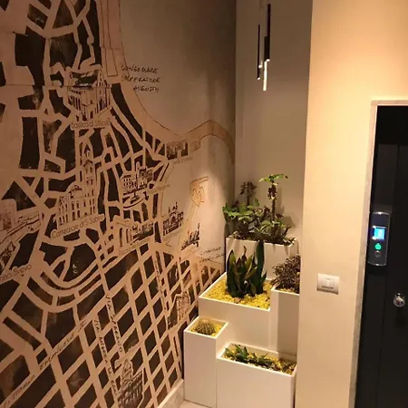 Gatto Bianco * בארי